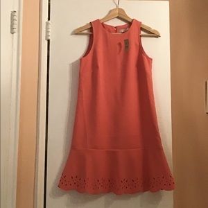 Loft dress, size 00 petite, NWT